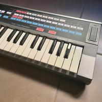 Casio SK-100 Sampler Sintetizzatore