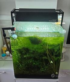 acquario dennerle cube 60 litri