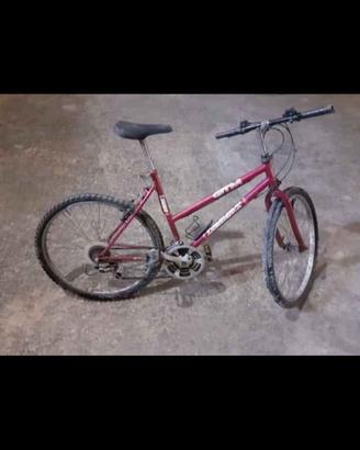 Bici rossa