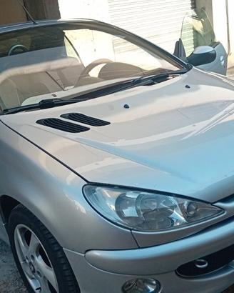 Peugeot 206 Caprio