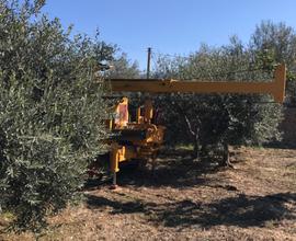 Spazio per il parcheggio o coltivazione, Carini