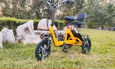 bicicletta 3 ruote elettrica 