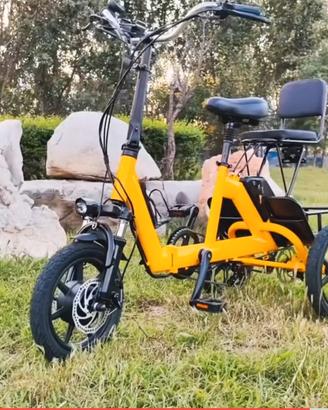 bicicletta 3 ruote elettrica 