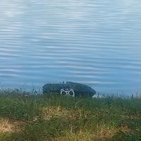 barchino carpfisching 