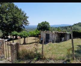 Terreno con casaletto, garage e cantina