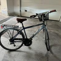 Bici torpado passeggio