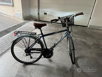 Bici torpado passeggio