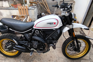 Ducati scrambler desert sled