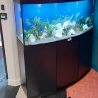 Acquario juwel rio 260 led