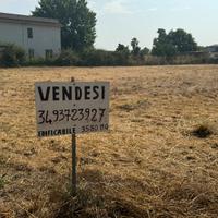 Lotto di terra 20 mila campo di carne Aprilia