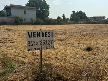 Lotto di terra 20 mila campo di carne Aprilia