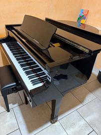 Pianoforte a coda