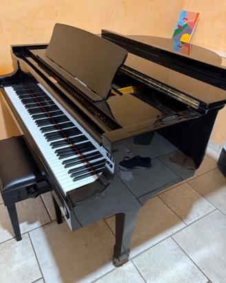 Pianoforte a coda