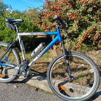 mtb carrera xl