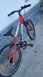 Bicicletta Bianchi Ragazzo
