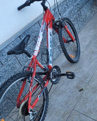 Bicicletta Bianchi Ragazzo