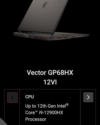 PC gaming Vector GP68HX 12VI - 64 GB ram