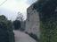 Immagine 6