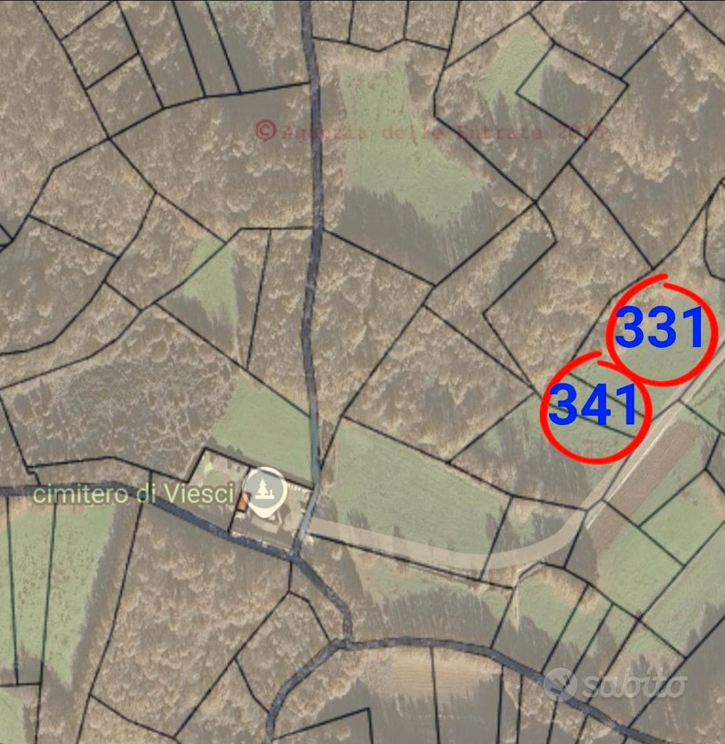 Terreno viesci 4600mq - Vista 2