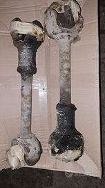 SEMIASSI  POSTERIORI  NUOVA CAMPAGNOLA 