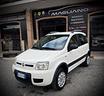 fiat-panda-1-3-mjt-16v-dpf-4x4-climbing
