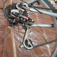 Bici ragazzo
