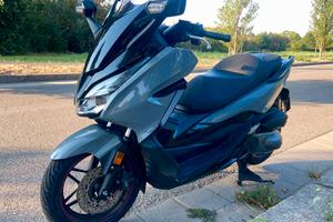 Honda forza 300ABS Trapasso  Incluso