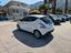 Immagine 7