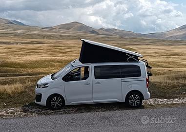 VAN PANAMA URBAN 10 +