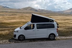 VAN PANAMA URBAN 10 +