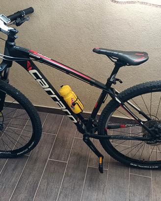 Bicicletta Mountain bike