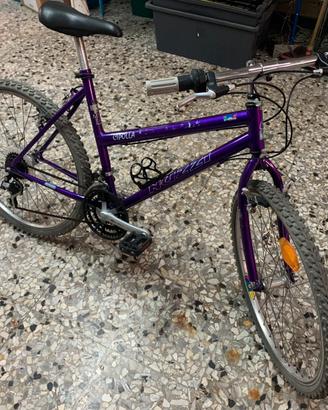 Bici mountain bike da donna
