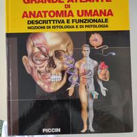 Grande atlante di anatomia umana Vigué-Martin