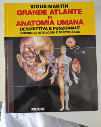Grande atlante di anatomia umana Vigué-Martin