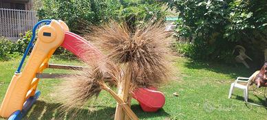 Spighe di grano decorative