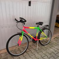Bici da uomo