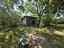 Immagine 7