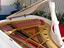 Immagine 9