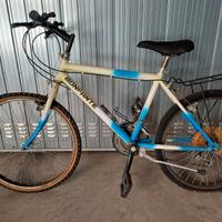 mountain bike da ragazzino