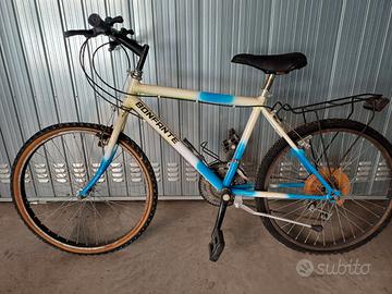 mountain bike da ragazzino