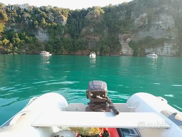 Motore Fuoribordo Jhonson 15 cv