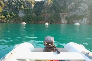 Motore Fuoribordo Jhonson 15 cv