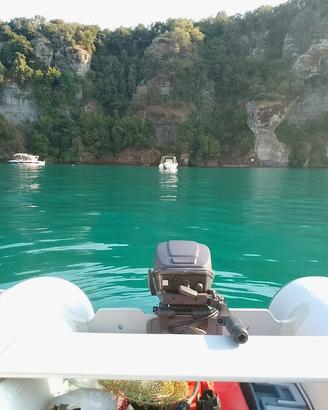 Motore Fuoribordo Jhonson 15 cv