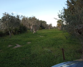 Terreno panoramico