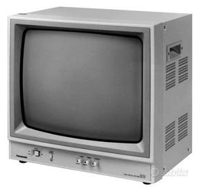 Monitor TVCC Panasonic WV-BM1910/G