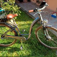 Bicicletta olandesina elettrica