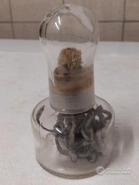 VECCHIA ALCOLIERA FORNELLETTO LAMPADA VINTAGE 