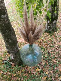 Damigliana  decorativa