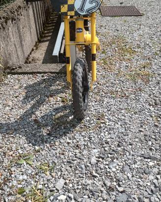 Bicicletta chicco