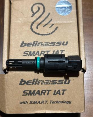 BMW GS  1250 Sensore temperatura IAT  Belinassu
